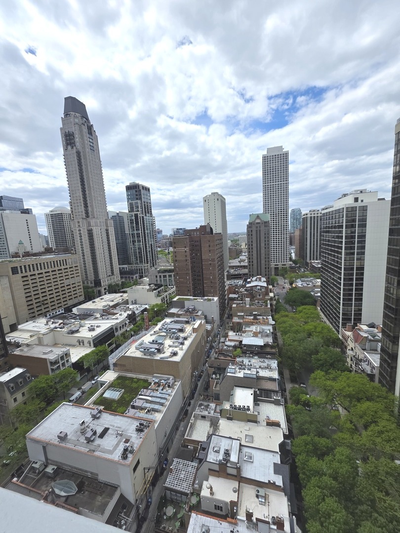 1000 N Lake Shore Drive #809, Chicago, IL 60611