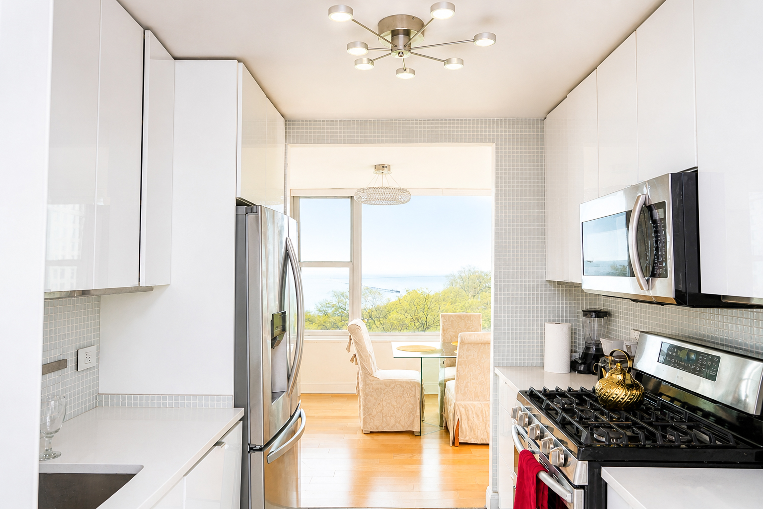 1000 N Lake Shore Drive #809, Chicago, IL 60611