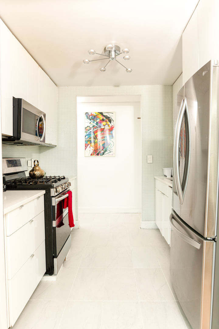 1000 N Lake Shore Drive #809, Chicago, IL 60611