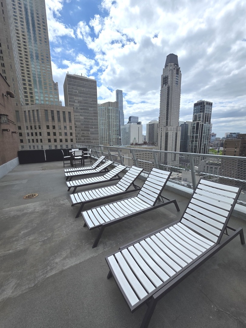 1000 N Lake Shore Drive #809, Chicago, IL 60611