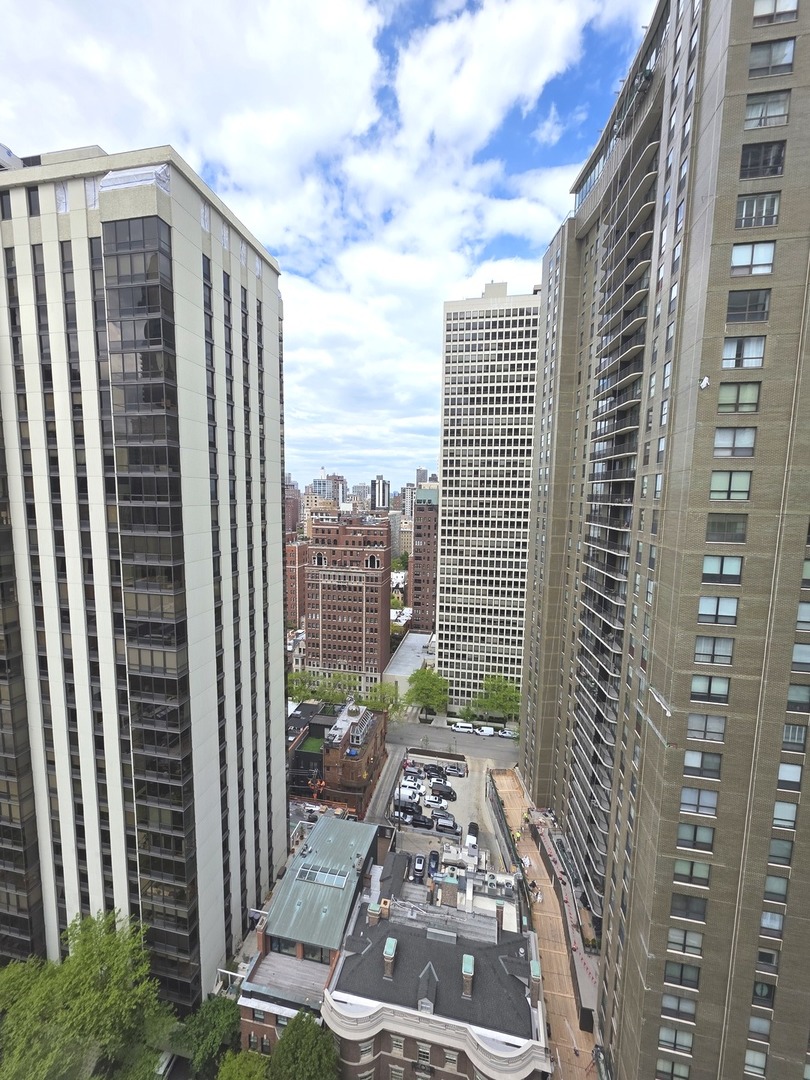 1000 N Lake Shore Drive #809, Chicago, IL 60611