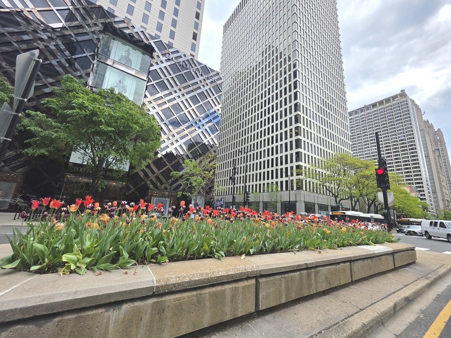 1000 N Lake Shore Drive #809, Chicago, IL 60611