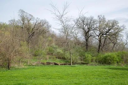 801 8th Street, Andalusia, IL 61232
