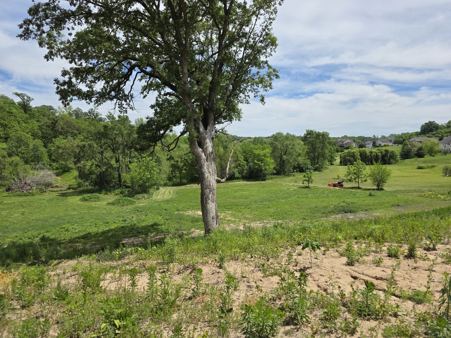 801 8th Street, Andalusia, IL 61232