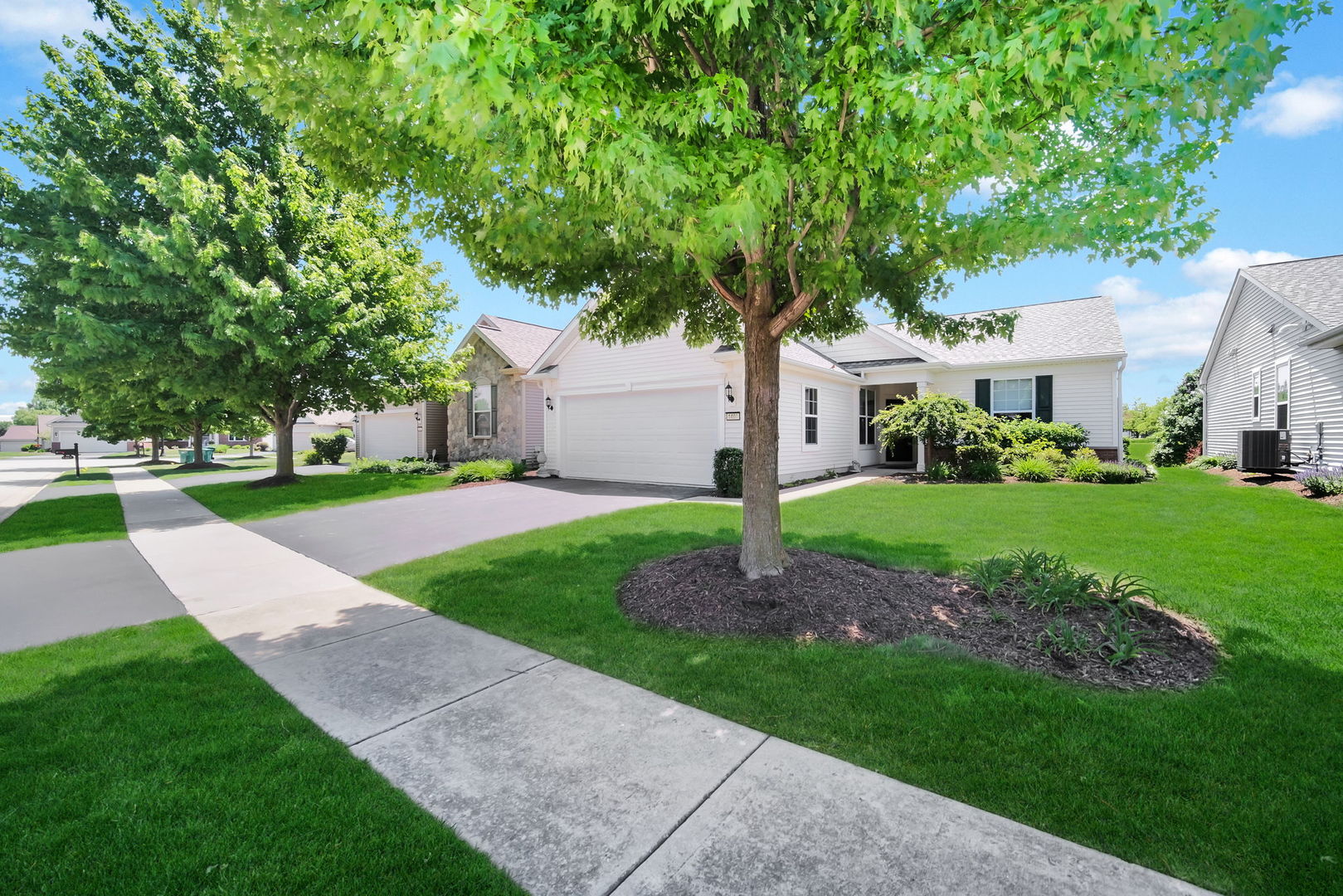 1409 Justice Court, Shorewood, IL 60404