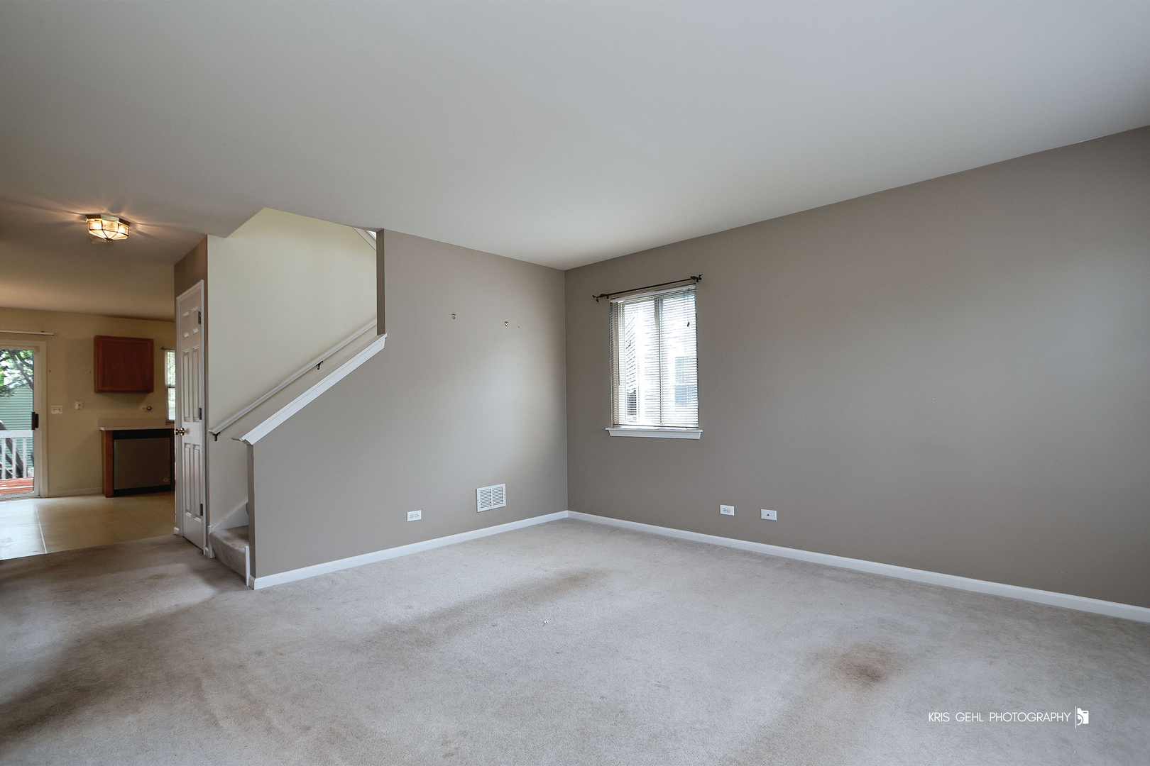 331 E Camden Lane, Round Lake Beach, IL 60073