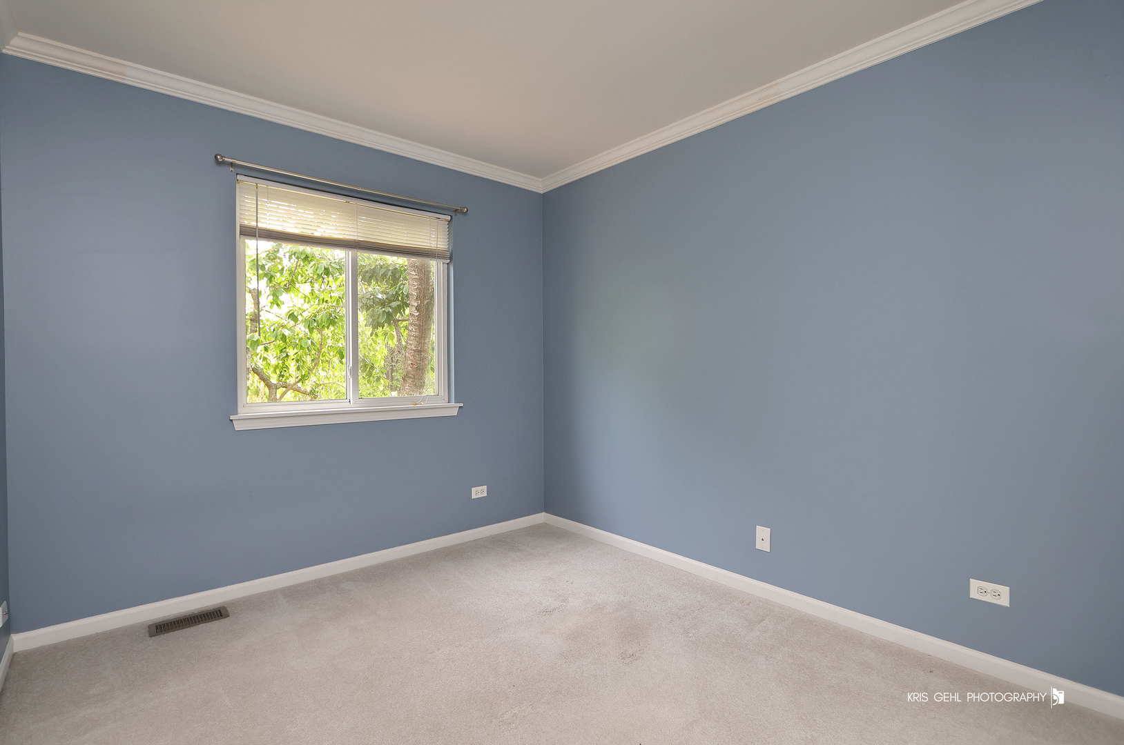 331 E Camden Lane, Round Lake Beach, IL 60073