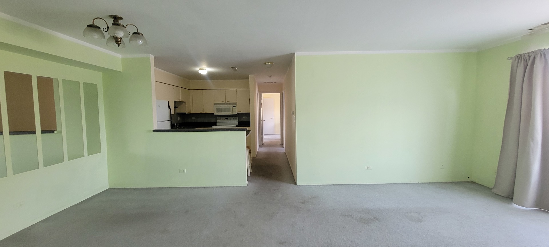 668 Pinecrest Drive #204, Prospect Heights, IL 60070