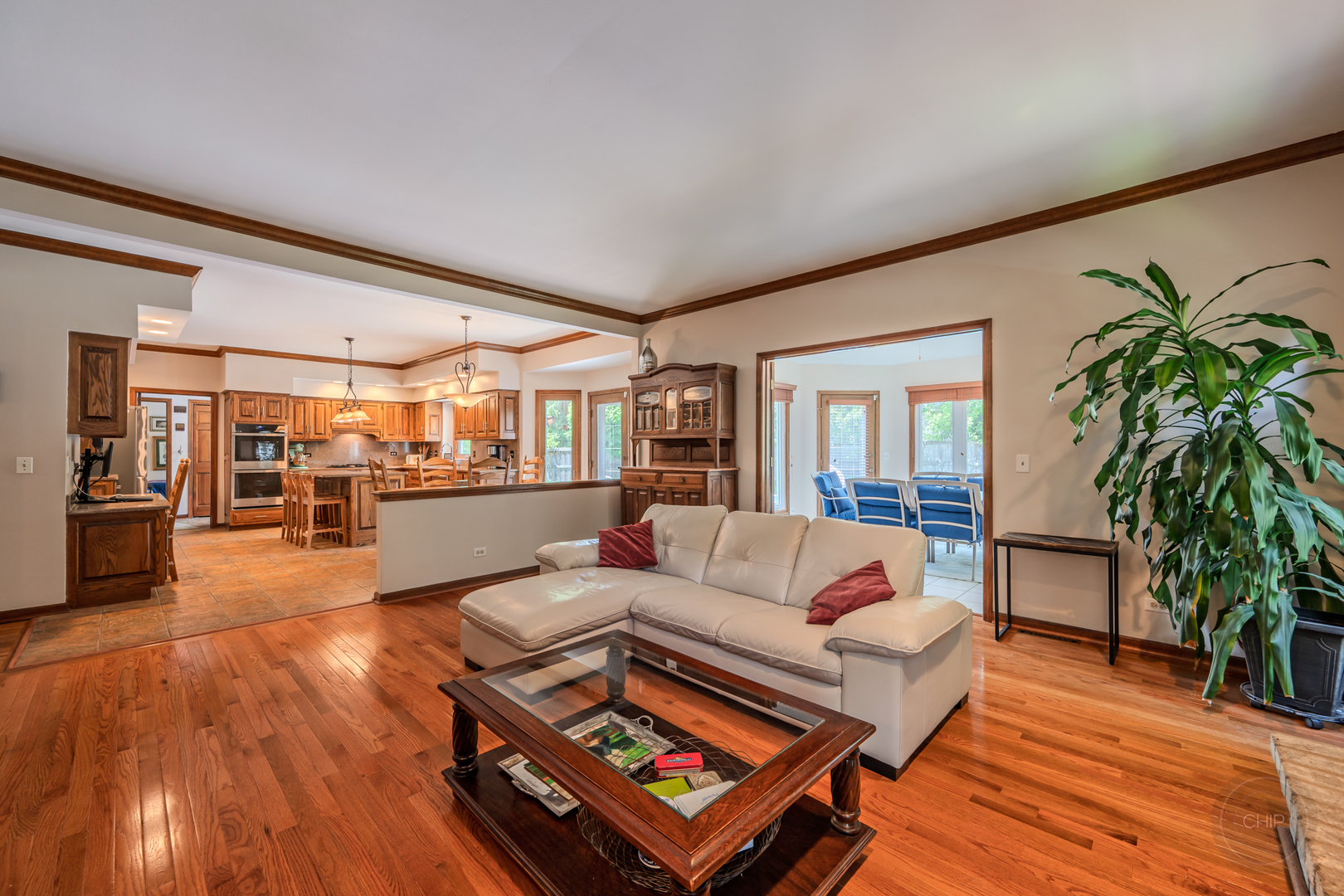 391 DuPahze Street, Naperville, IL 60565