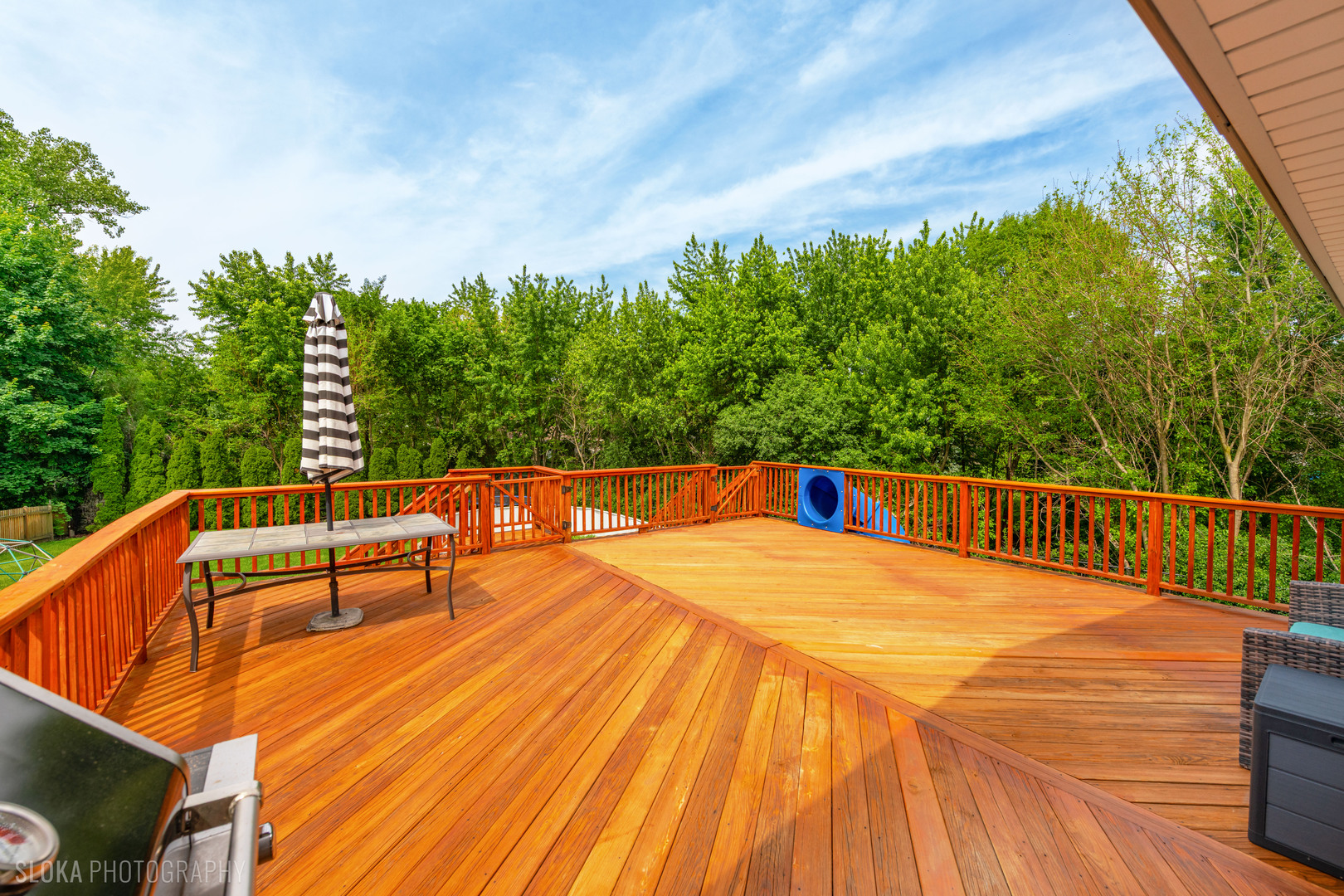 532 Cambridge Drive, Schaumburg, IL 60193