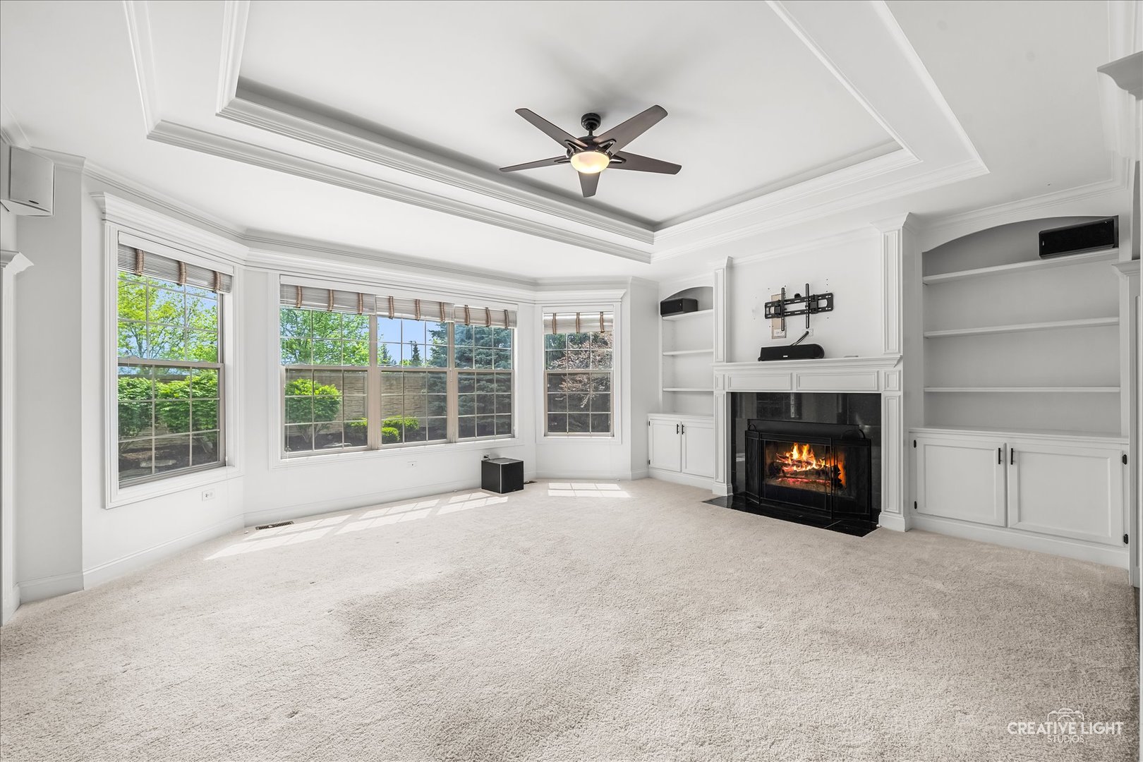 3712 Ryder Court, Naperville, IL 60564