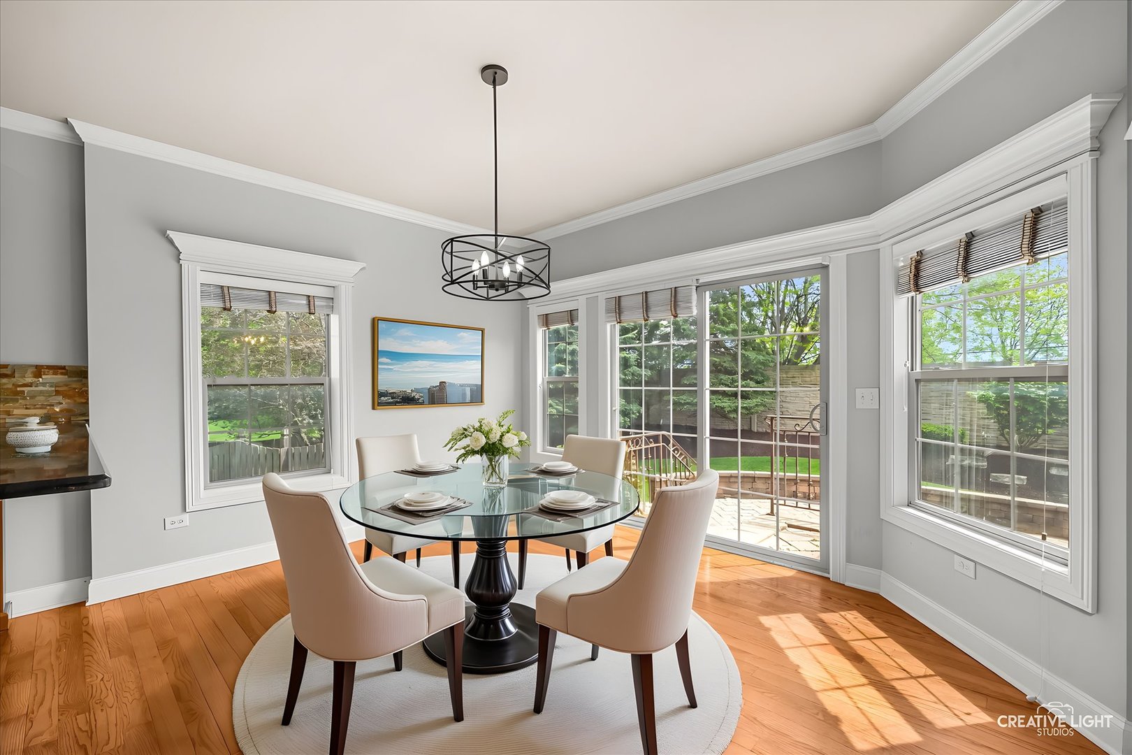 3712 Ryder Court, Naperville, IL 60564