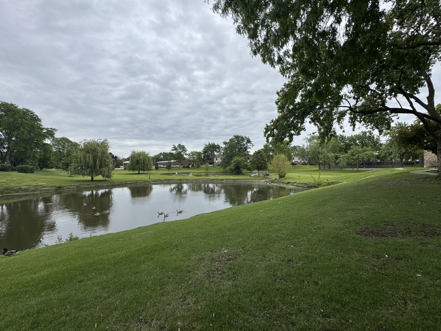 7303 Grand Avenue #AA-205, Downers Grove, IL 60516
