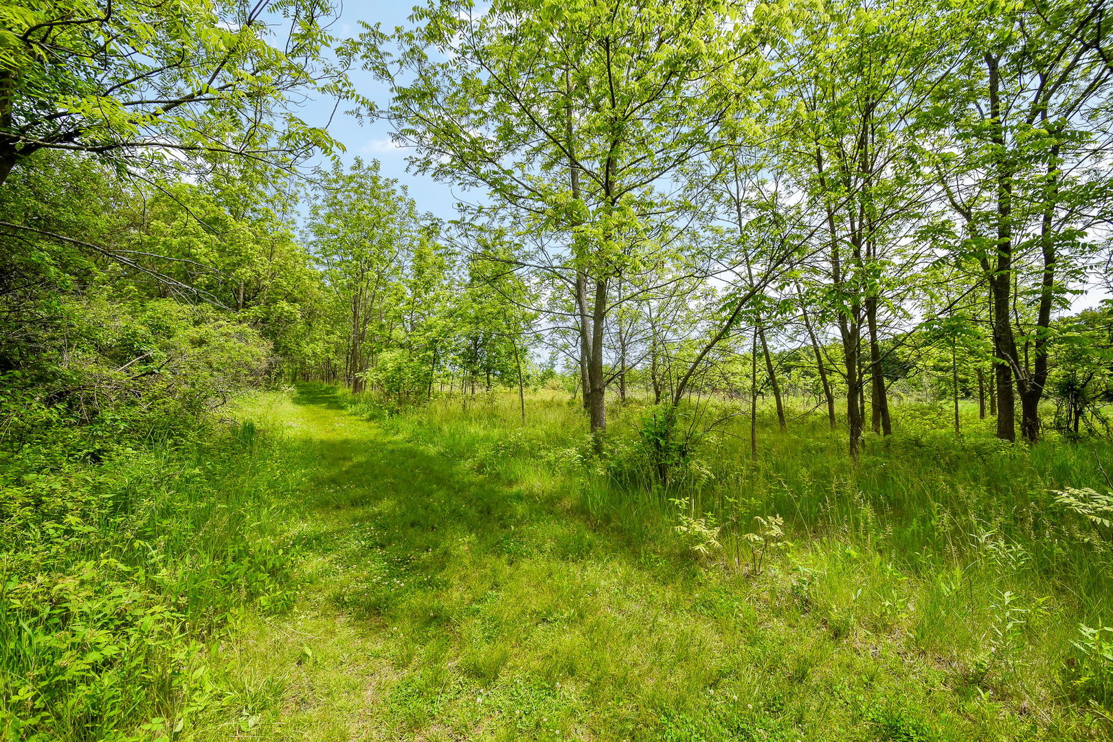 41W555 Wayne Drive, St. Charles, IL 60175