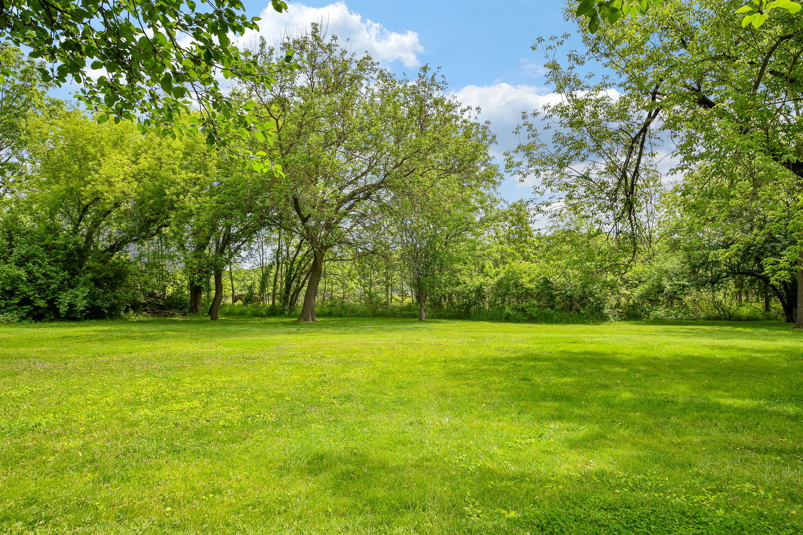 41W555 Wayne Drive, St. Charles, IL 60175
