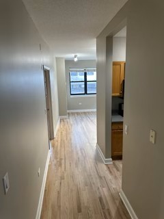 1529 S State Street #4B, Chicago, IL 60605