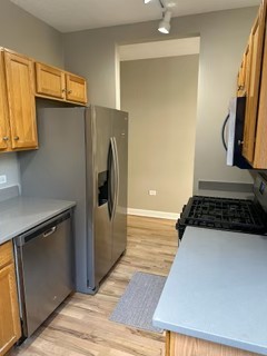 1529 S State Street #4B, Chicago, IL 60605