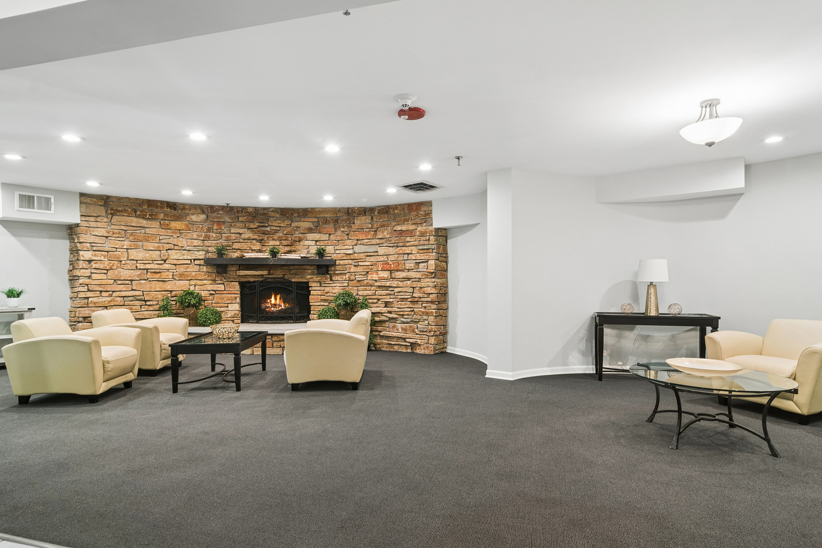 250 W Parliament Place #216, Mount Prospect, IL 60056