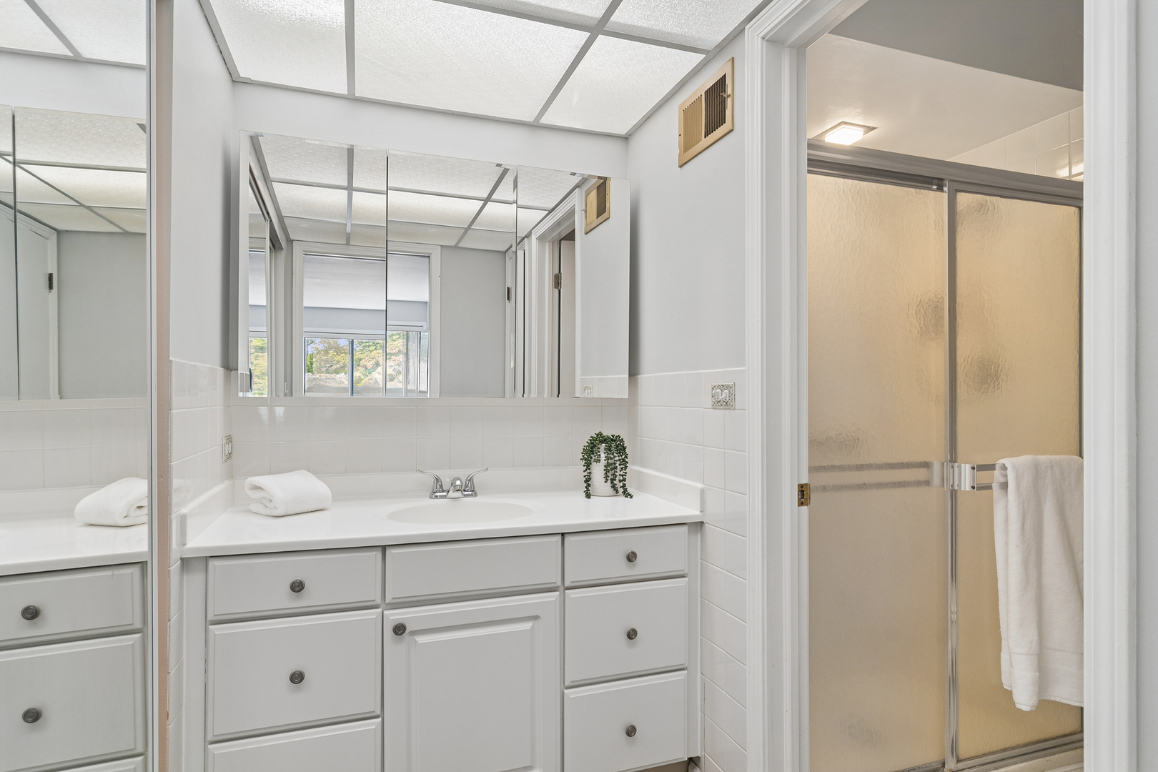 250 W Parliament Place #216, Mount Prospect, IL 60056