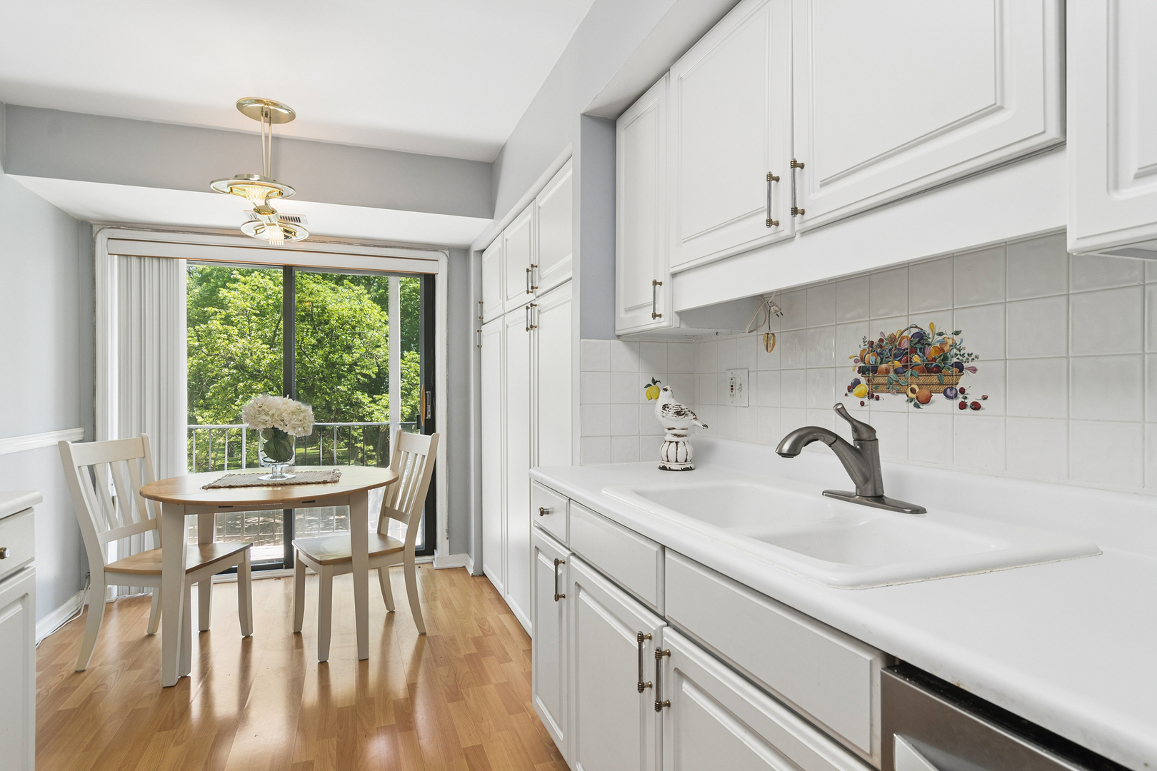 250 W Parliament Place #216, Mount Prospect, IL 60056