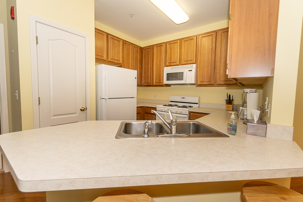 1291 W Lake Street #103, Addison, IL 60101