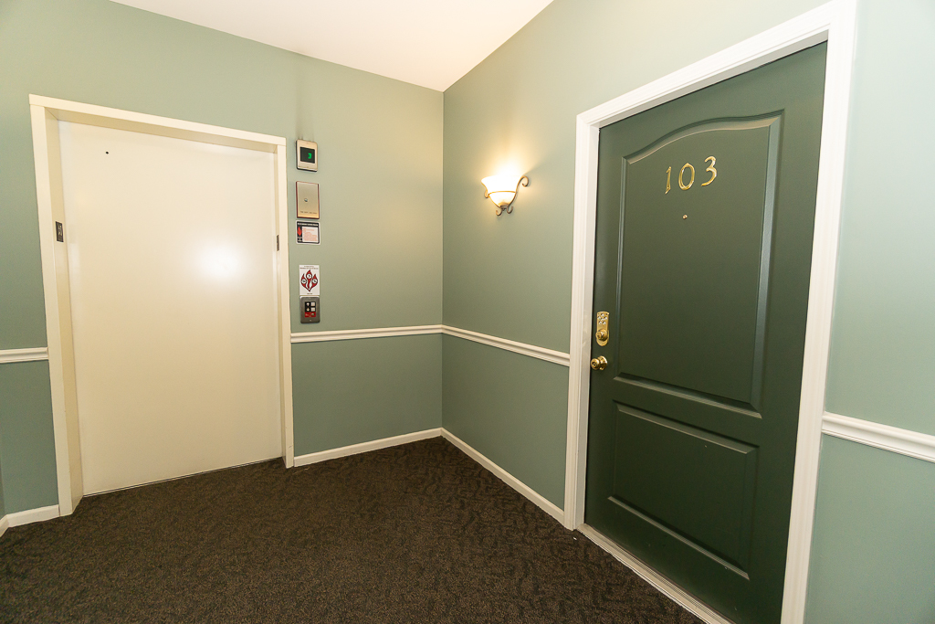 1291 W Lake Street #103, Addison, IL 60101
