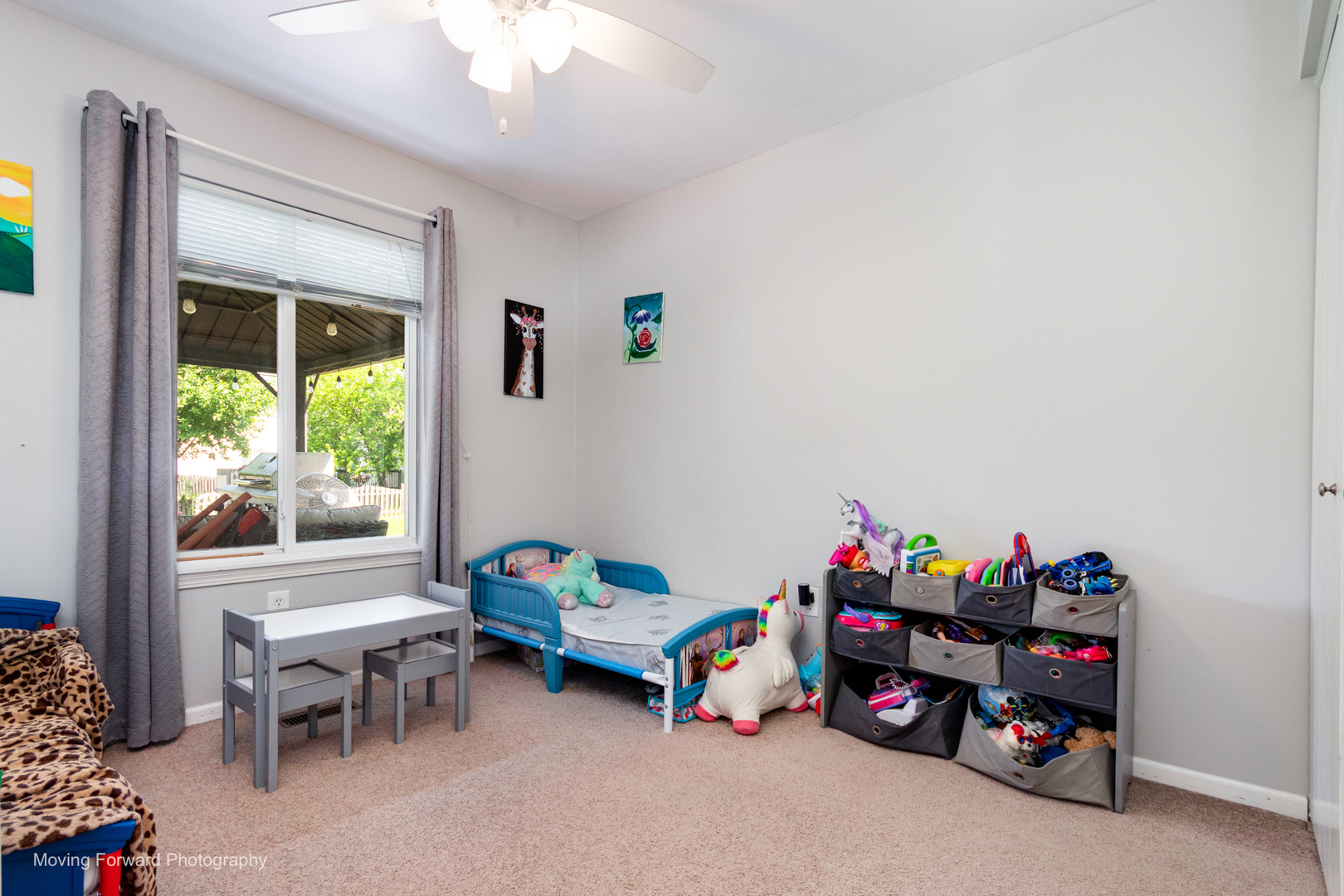 22104 W Miller Drive, Plainfield, IL 60544