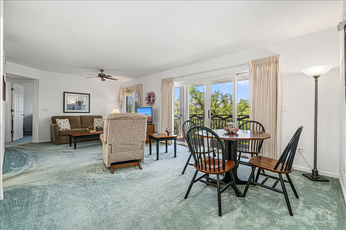 740 Creekside Drive #509, Mount Prospect, IL 60056
