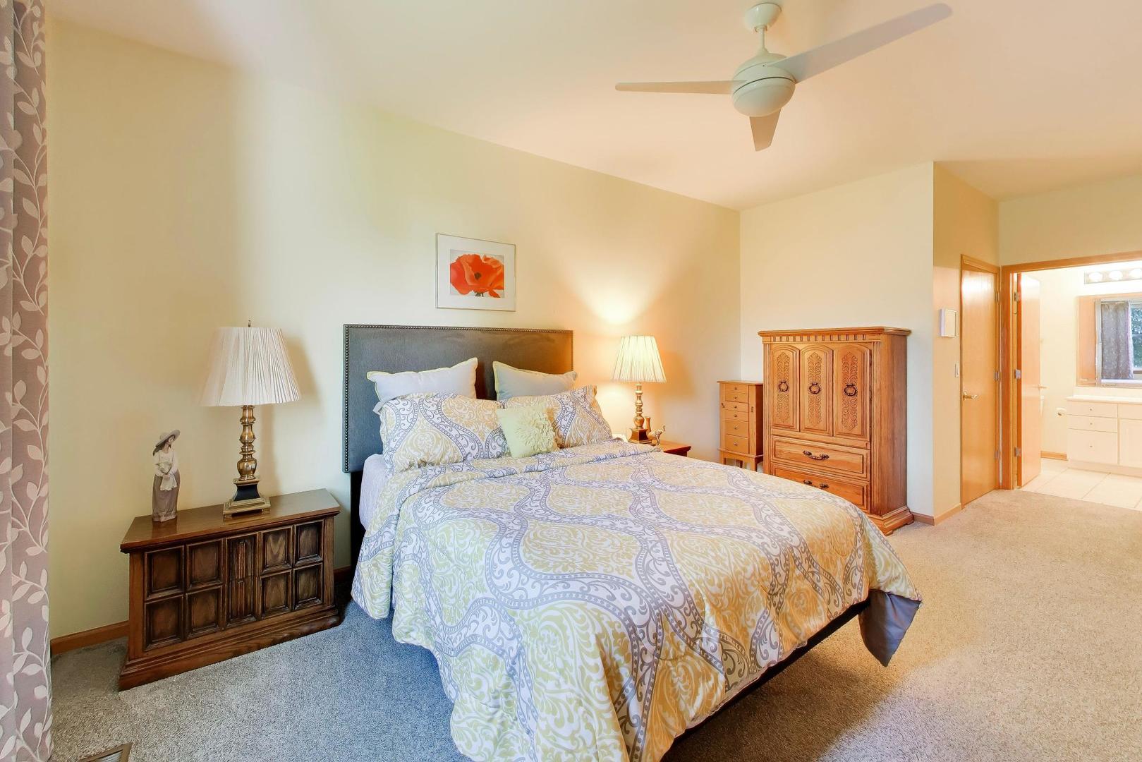 21119 W Braxton Lane, Plainfield, IL 60544