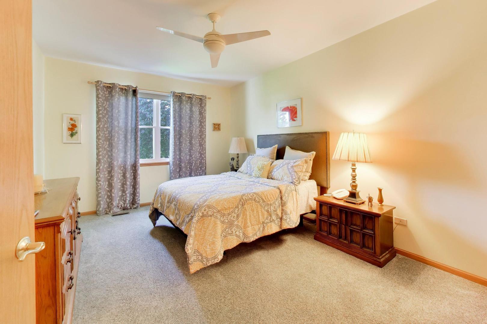 21119 W Braxton Lane, Plainfield, IL 60544
