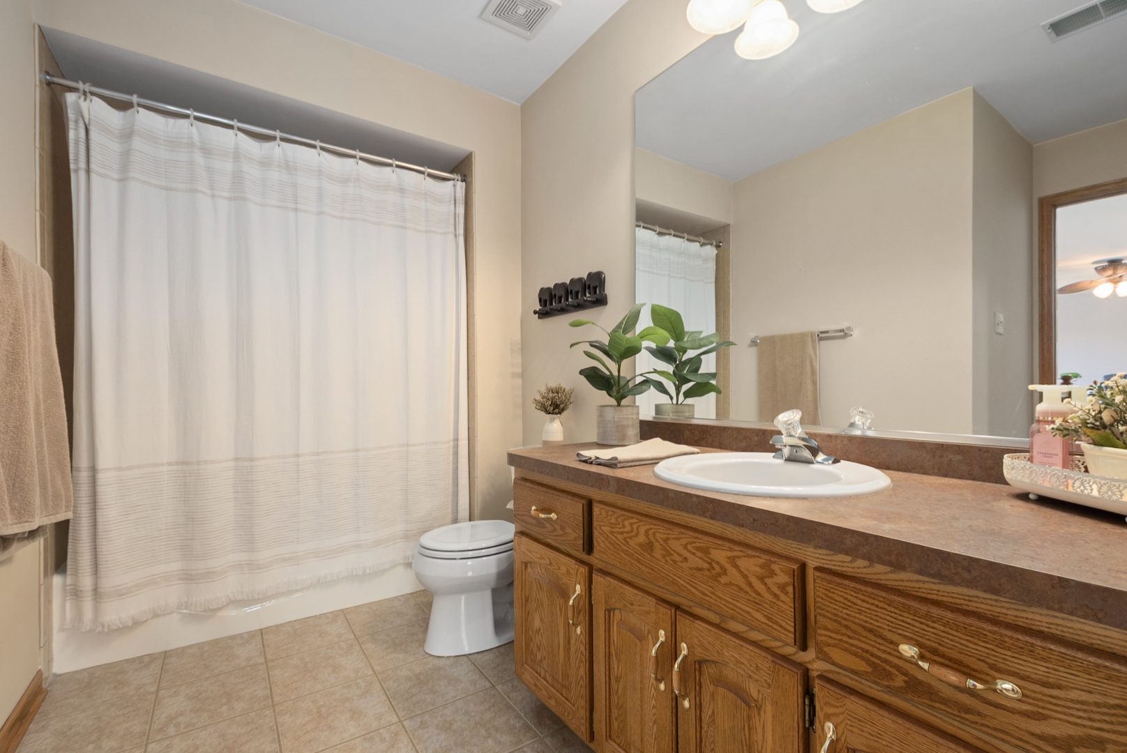 8703 Cashel Lane, Tinley Park, IL 60487
