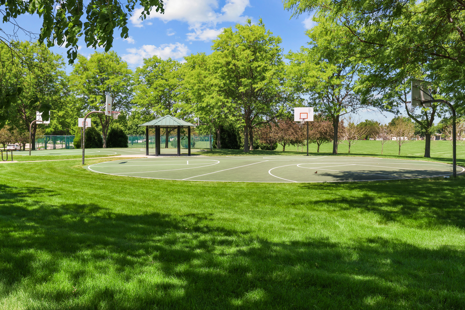 3633 Hyde Park Court, Elgin, IL 60124