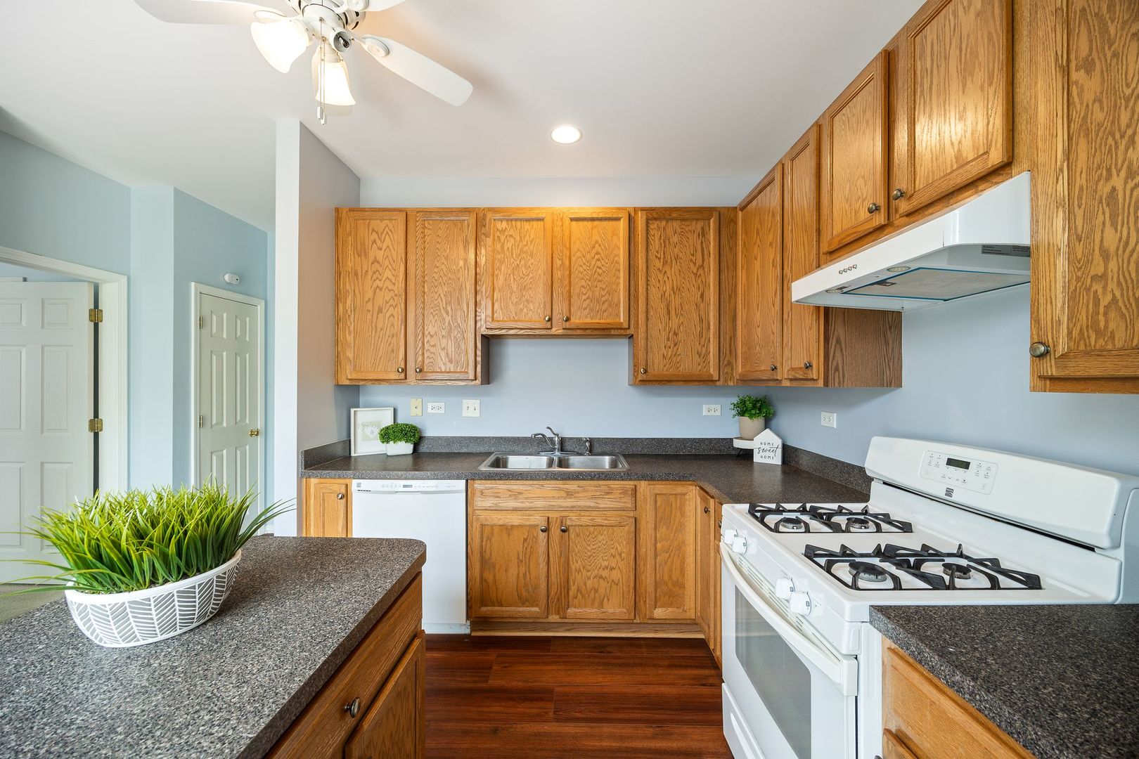 3061 Hughsdale Street, Elgin, IL 60124