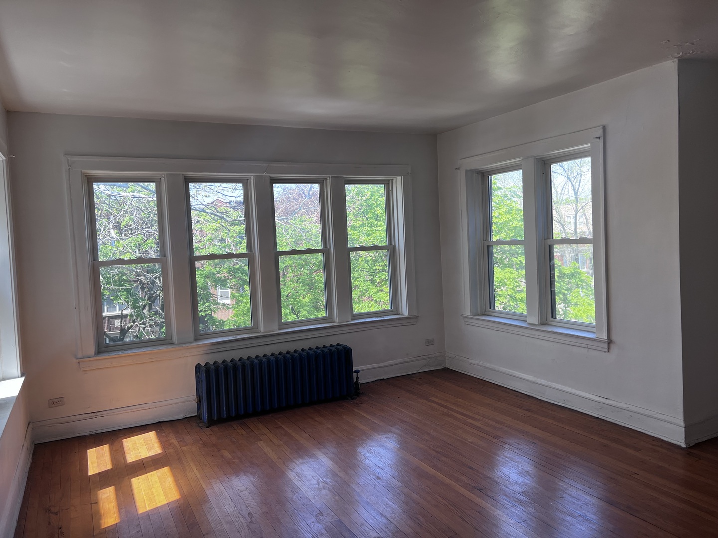8127 S Vernon Avenue, Chicago, IL 60619
