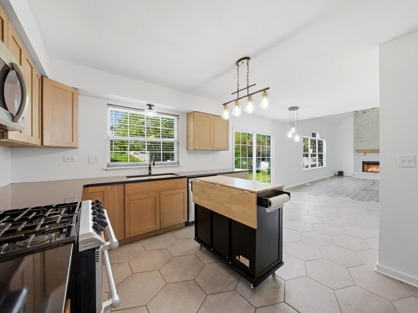 225 Parkside Lane, Oswego, IL 60543