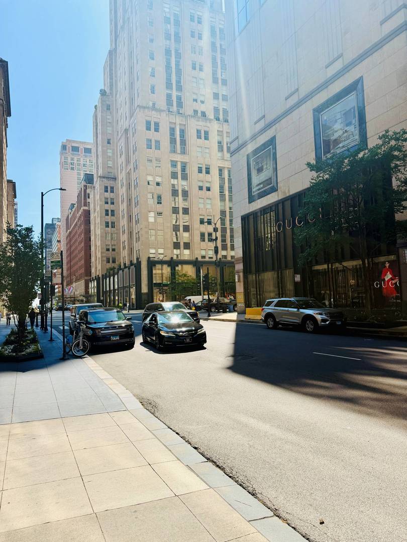 100 E Walton Street #36D, Chicago, IL 60611
