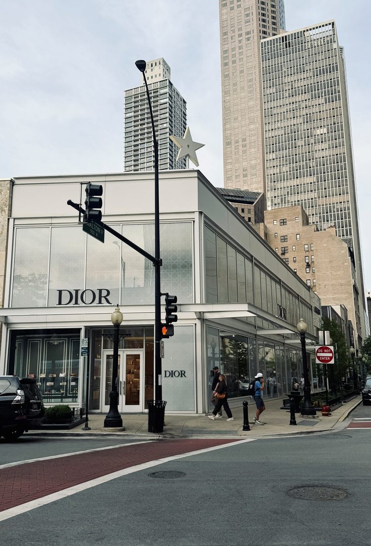 100 E Walton Street #36D, Chicago, IL 60611