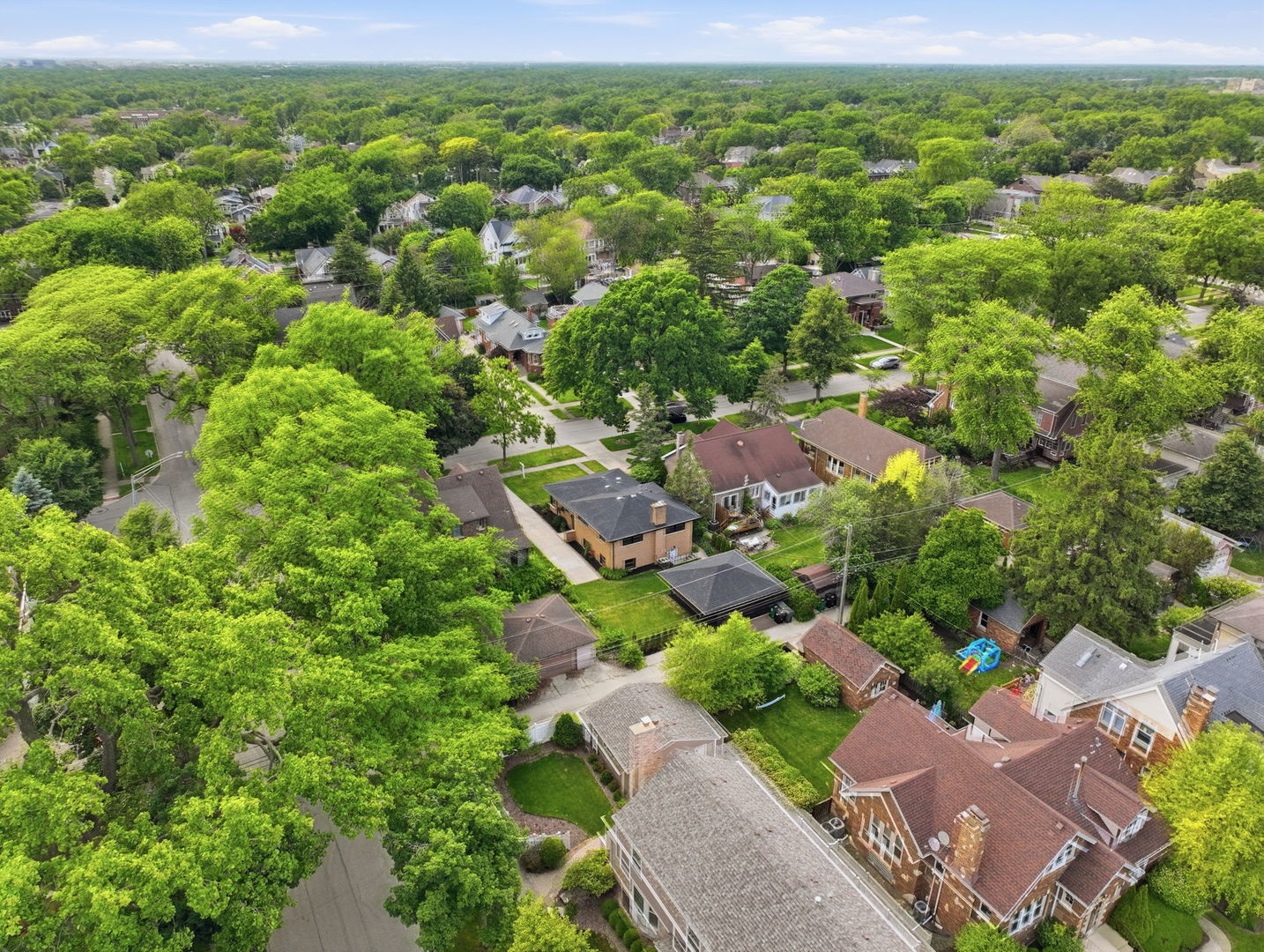 1009 S Washington Avenue, Park Ridge, IL 60068
