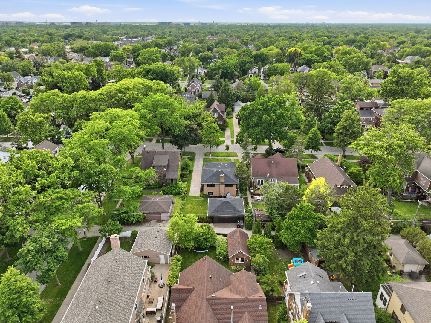 1009 S Washington Avenue, Park Ridge, IL 60068