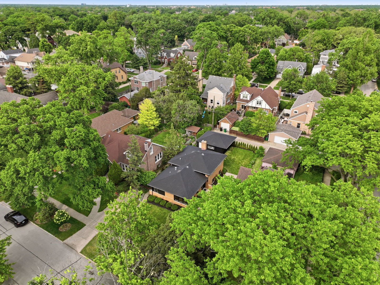 1009 S Washington Avenue, Park Ridge, IL 60068