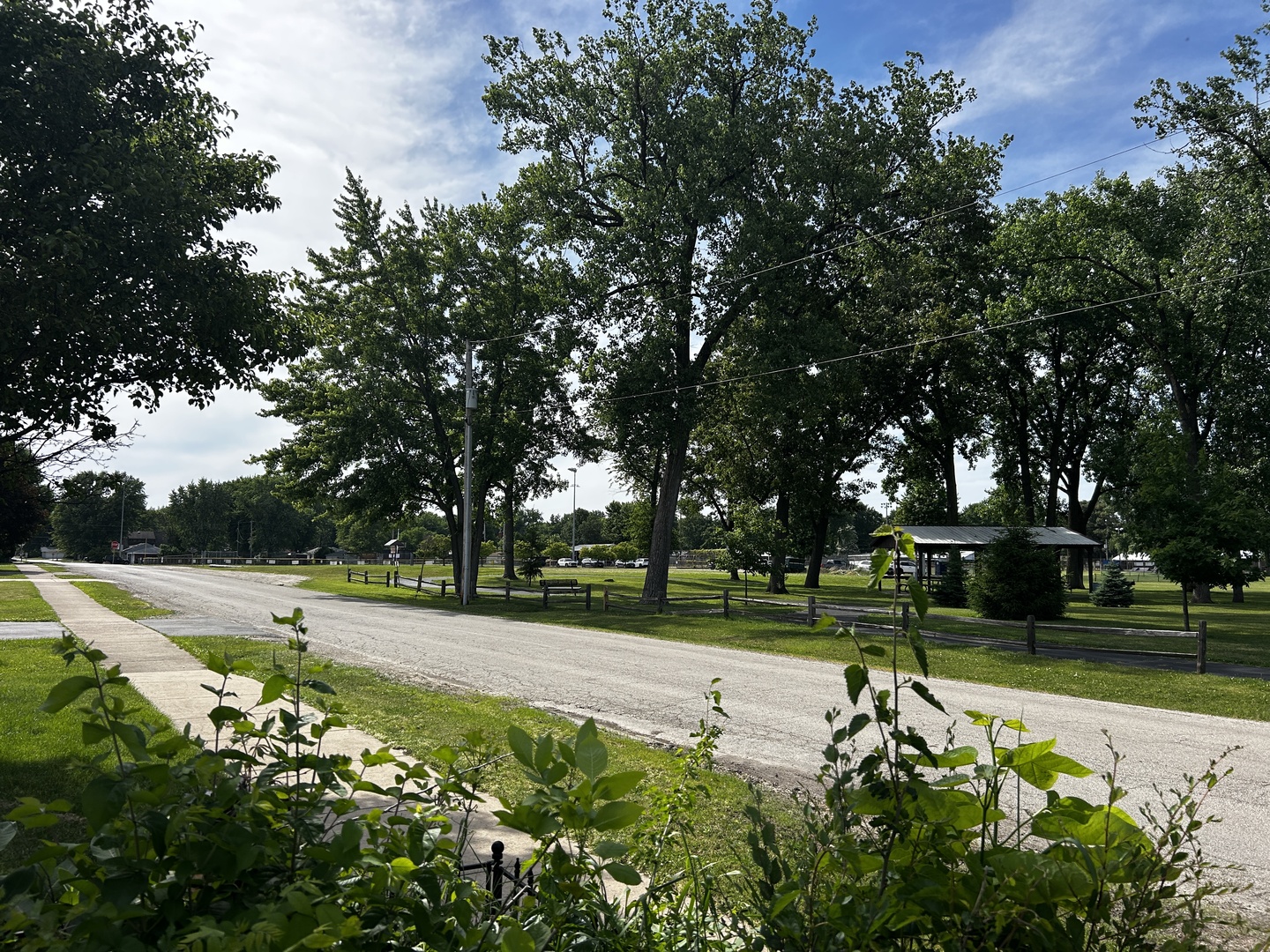 125 W 1st Street, Braidwood, IL 60408