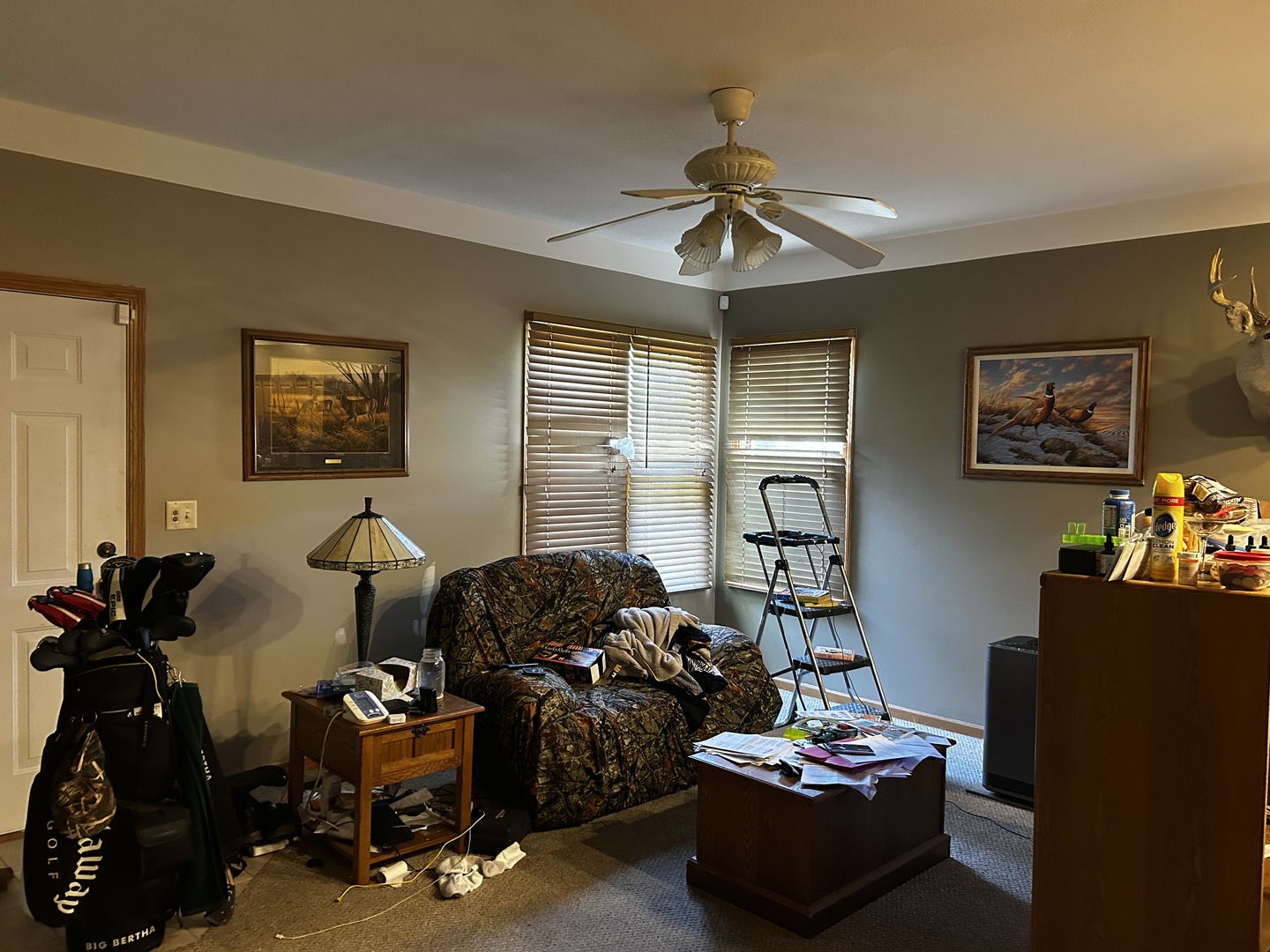 125 W 1st Street, Braidwood, IL 60408