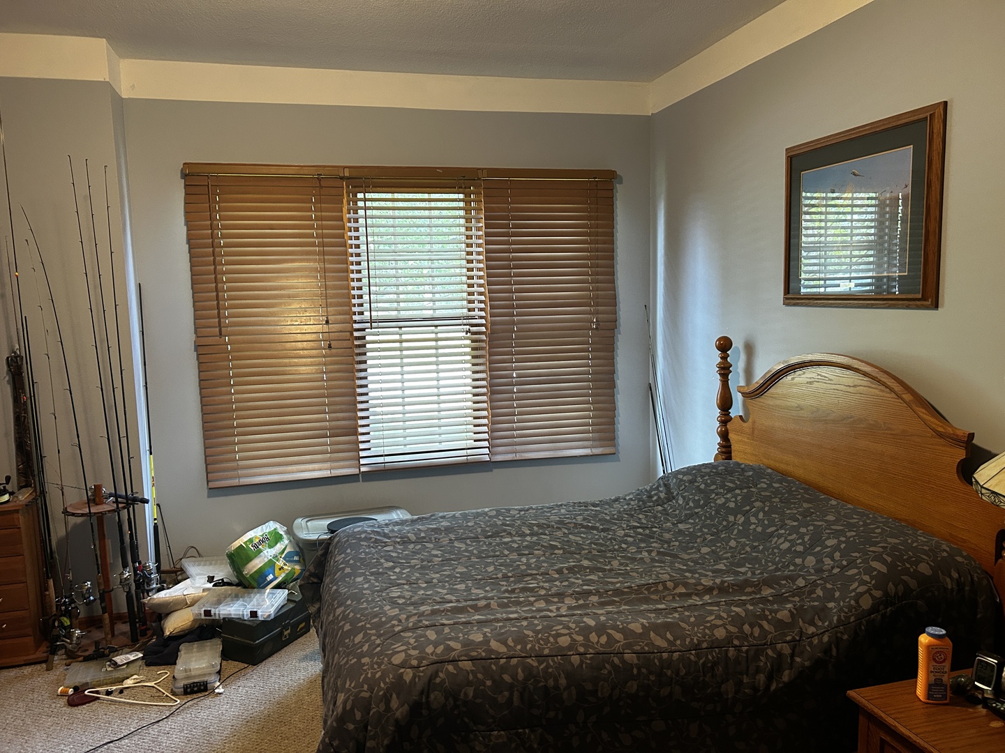 125 W 1st Street, Braidwood, IL 60408
