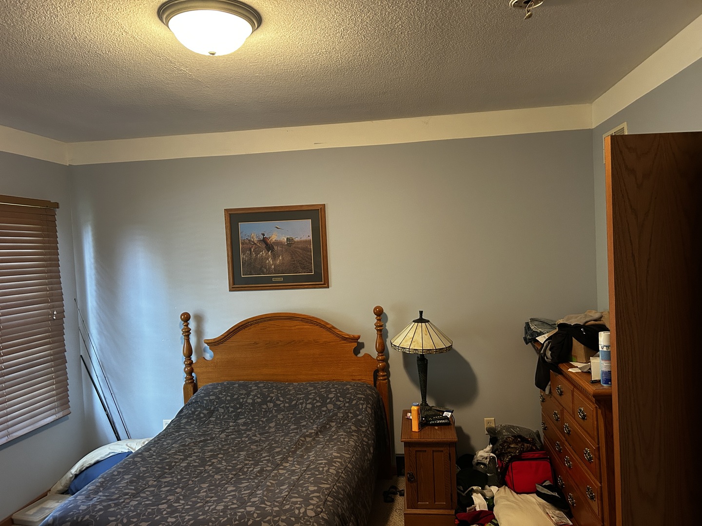 125 W 1st Street, Braidwood, IL 60408