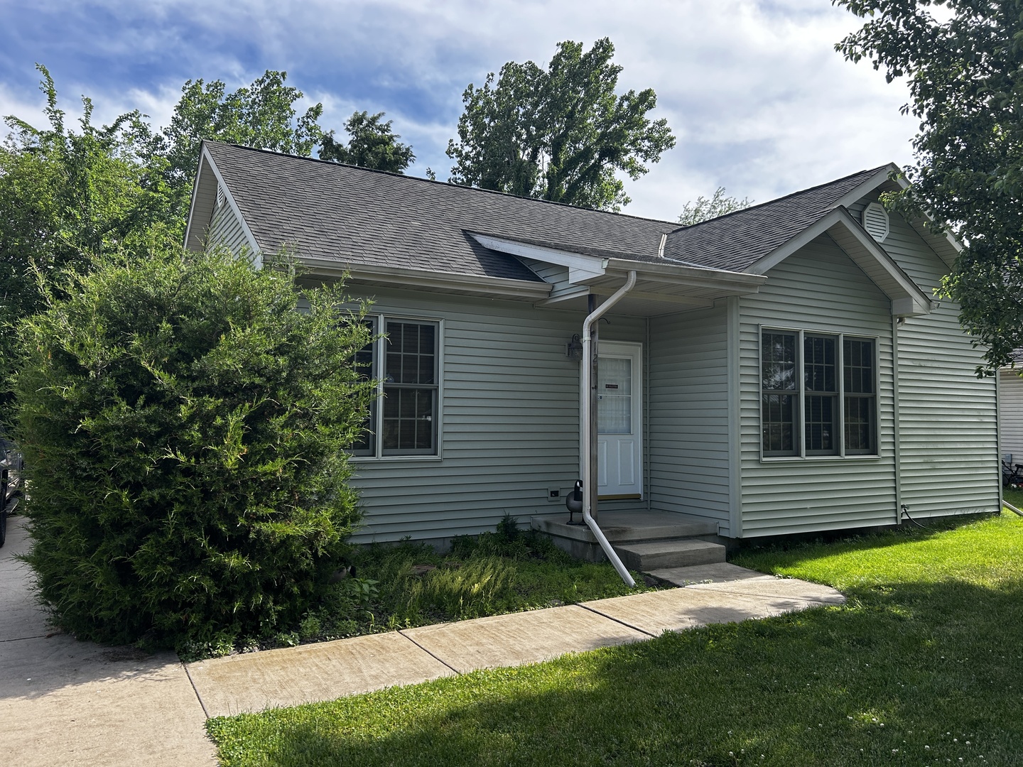 125 W 1st Street, Braidwood, IL 60408