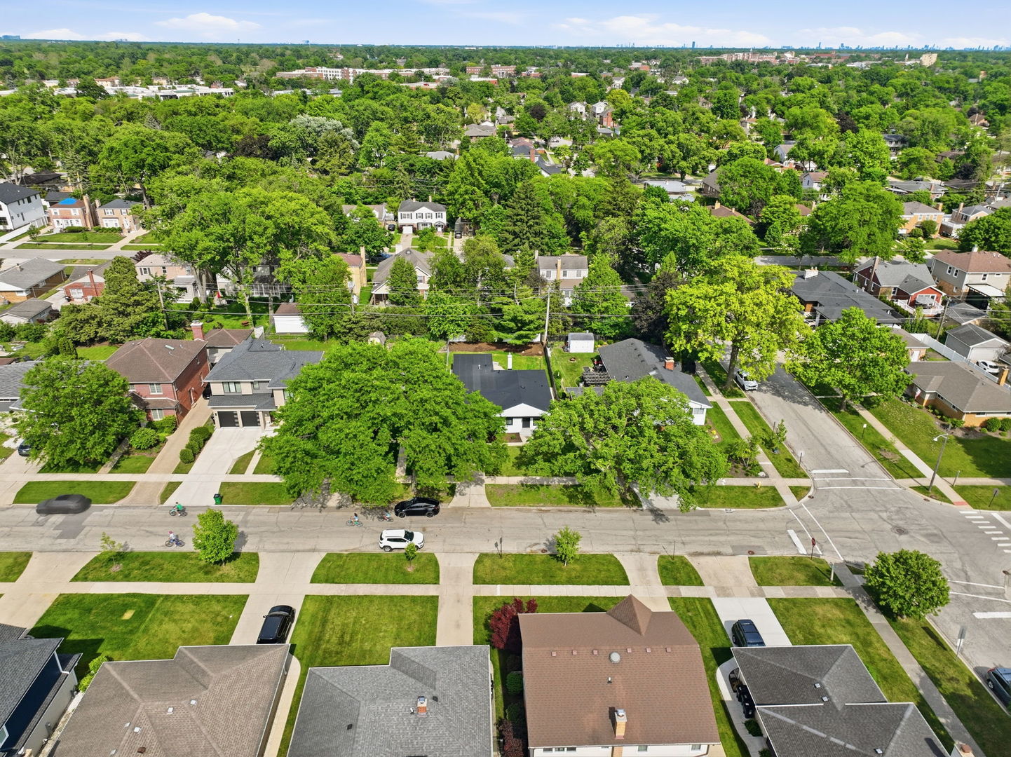 507 N Hamlin Avenue, Park Ridge, IL 60068