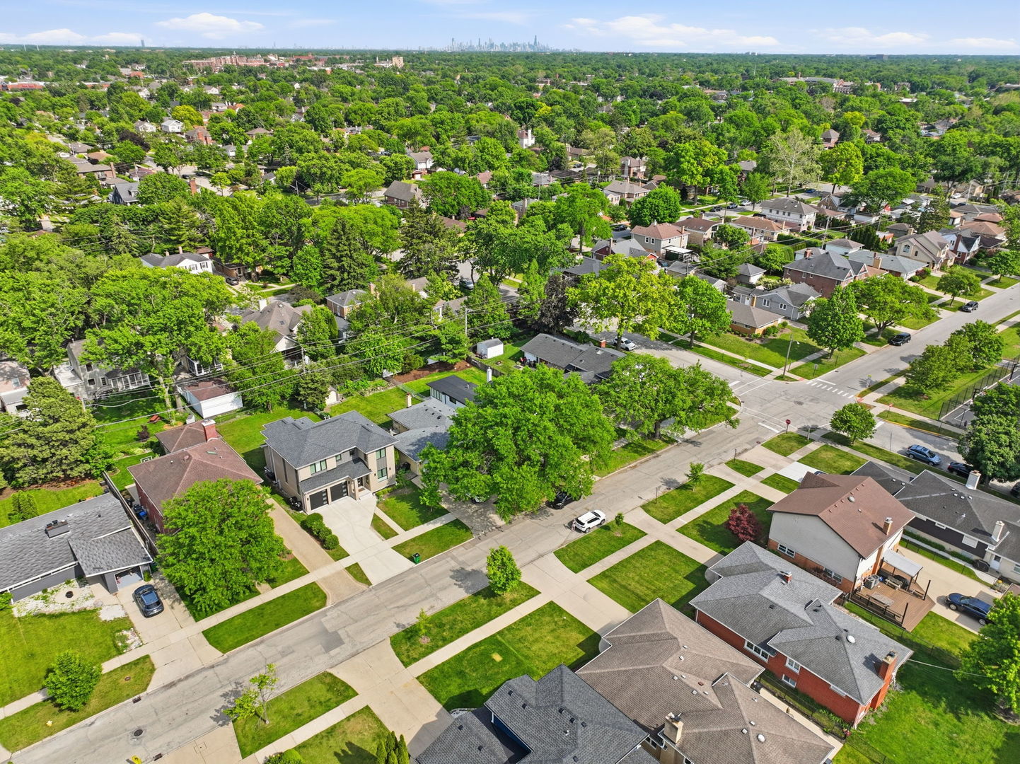 507 N Hamlin Avenue, Park Ridge, IL 60068