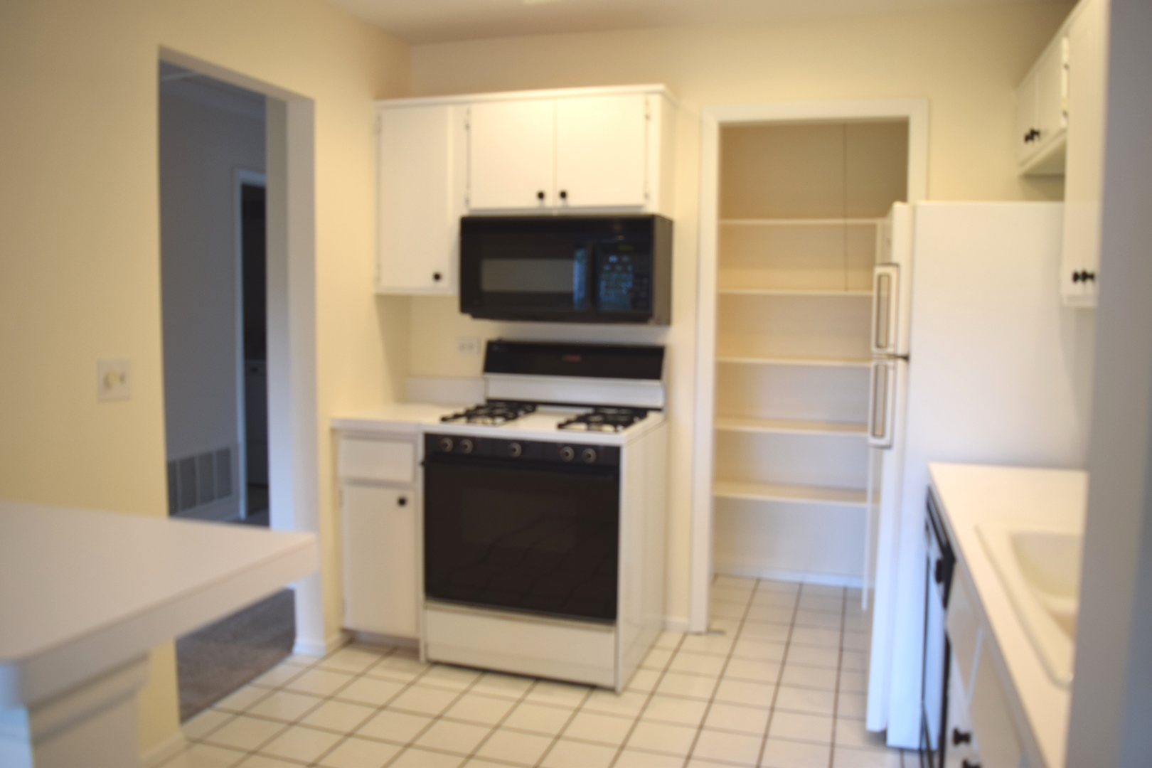 285 Mayfair Lane #2C, Schaumburg, IL 60193