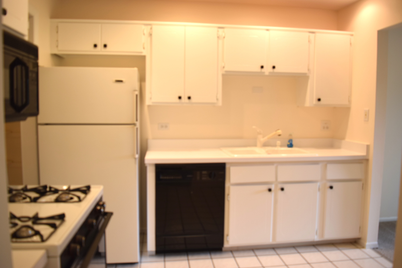 285 Mayfair Lane #2C, Schaumburg, IL 60193