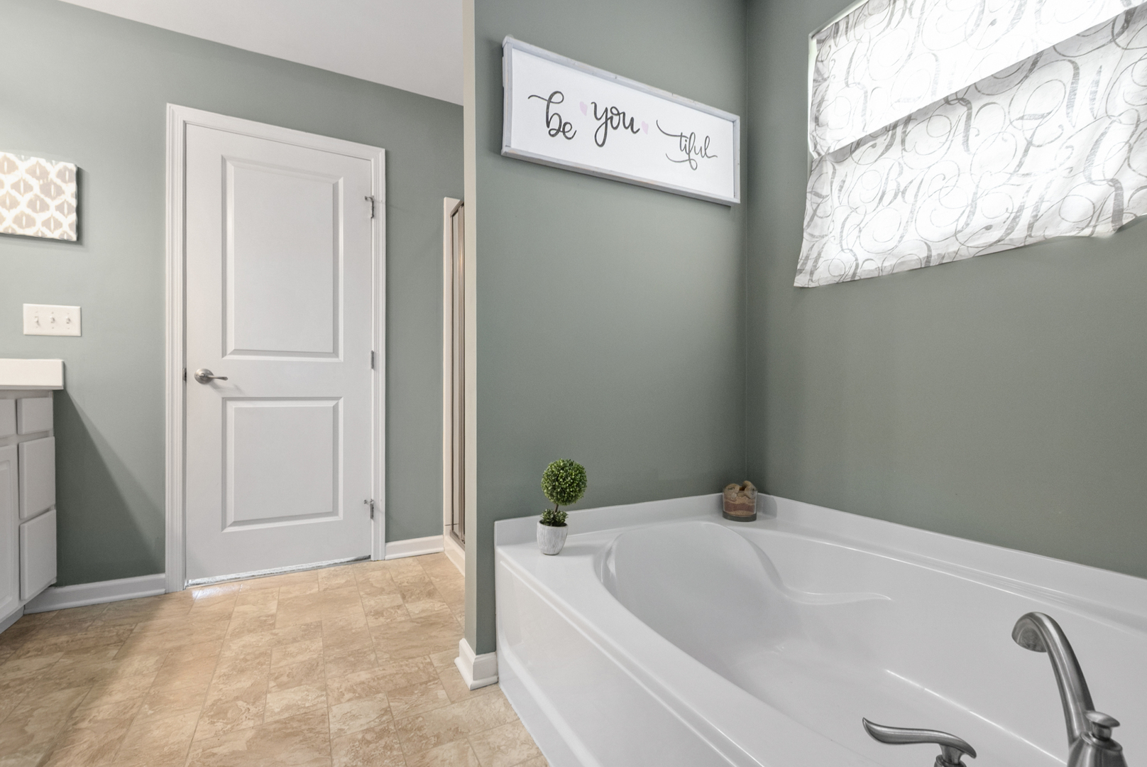 24505 Sleepy Hollow Lane, Plainfield, IL 60586